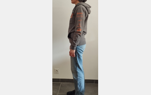 Pull à capuche Uni (gris ou bleu)