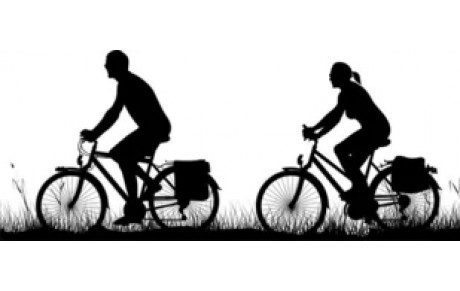 Inscriptions nouveaux adultes